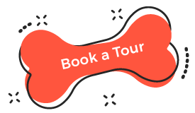 https://doggystylingalmere.nl/wp-content/uploads/2019/08/book_tour.png