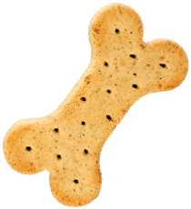 cookie https://doggystylingalmere.nl/wp-content/uploads/2019/08/cookie.png